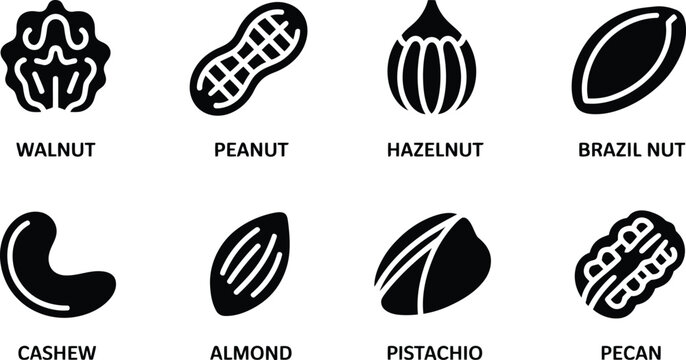 Variety of nuts walnut peanut hazelnut brazil nut cashew almond pistachio pecan