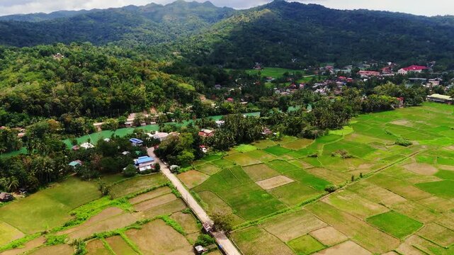 Cinematic aerial view of the Loboc River flowing through dense jungle and local farmland in Bohol island Philippines