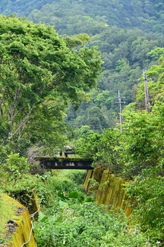 Derelict dark metal bridge spanning narrow moss-covered concrete waterway choked with dense shrubs, layered lush forest covering rolling hillside background, humid subtropical abandoned landscape.