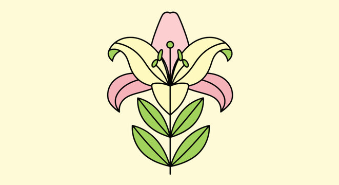 Pink and Yellow Lily Flower Illustration.