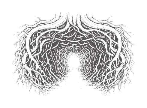 Dark root tunnel leading to bright light with textured branches roots
