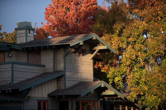 House surrounded by autumn foliage. House framed by colorful fall leaves. House glowing in warm seasonal light. House blending with autumn nature. Autumn home lifestyle.