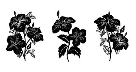 Naklejka premium Silhouette tropical black hibiscus vector flowers set. Floral monochrome illustration decal, decor, clipart, poster, sticker, template. Tea hibiscus.
