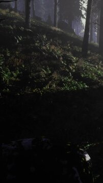 Tall trees stand silently in a dense forest, their silhouettes softened by a gentle mist. Lush greenery adorns the ground, adding to the magical, serene ambiance of this hidden retreat.