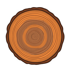 Fototapeta premium A stylized wood grain growth rings illustration. Clean, circular design with warm tones. Perfect for backgrounds, textures, and design projects.