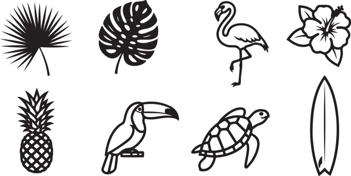 Black and white line drawings of various flowers and leaves Vector