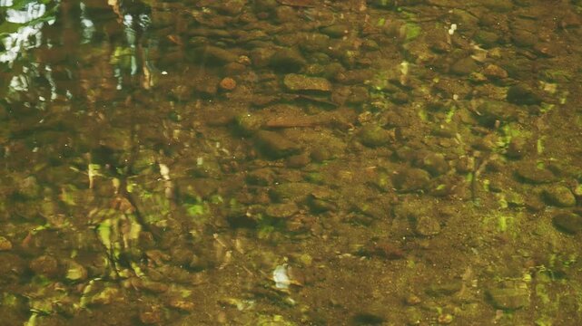 Calm water surface with stones under water. Loop.