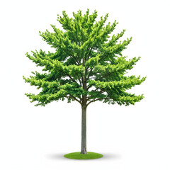 Fototapeta premium Simple green tree icon white