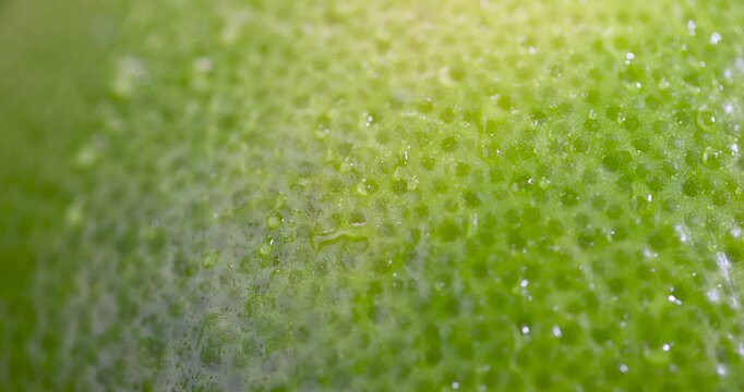a wet yellow-green grapefruit on the table, one large grapefruit with a peel of different colors is covered with drops of clear water, tropical fruit