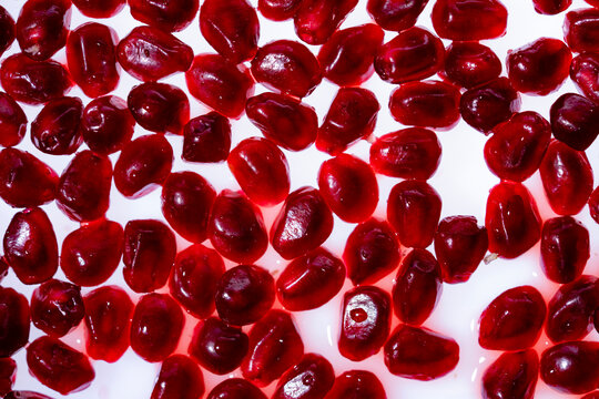 Pomegranate, garnets garnet fruit. Rube juicy pomegranate background. Pomegranate garnet fruit background. Fresh pomegranate arils background.