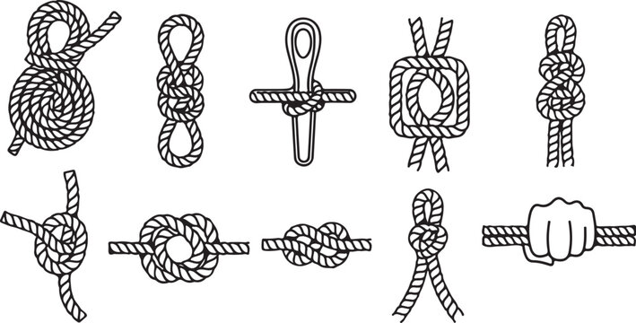 Various types of braids and hairstyles illustrated in black and white Vector