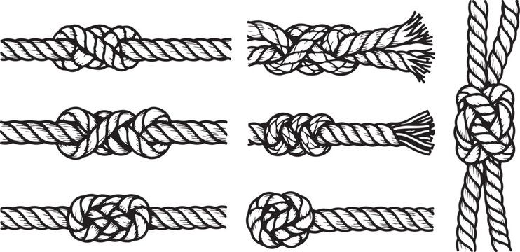 Intricate line drawings of different types of braids and hairstyles Vector