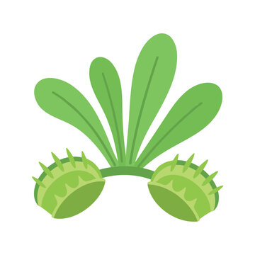 Illustration of a green cartoon venus flytrap with leaves on a white background