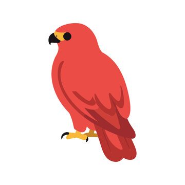 Illustration of a single, red hawk perched with its distinctive yellow eye and sharp beak