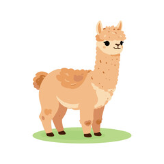 Fototapeta premium Cute cartoon llama stands on a patch of green grass in simple illustration