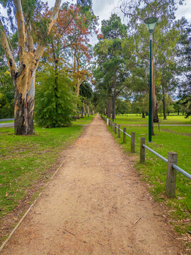 Ground-level view of the empty running and walking track circling Princes Park in Melbourne, Australia, with the curving path framed by leafy trees, green sports fields, and open parkland