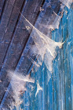 Delicate spider webs stretch across aged, blue-painted wooden boards, catching the light. The scene evokes quiet decay, forgotten places, and natural stillness