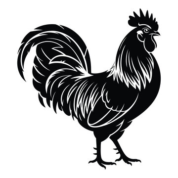 A striking black rooster stands proudly its detailed form presented as a silhouette