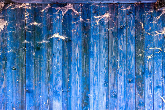 Aged blue wooden wall covered in fragile, dusty cobwebs. The decaying surface and web patterns evoke silence, abandonment, and the beauty of natural deterioration
