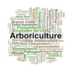 Fototapeta premium Arboriculture Word Cloud. An expert-level overview of tree science, structural biomechanics, diagnostic pathology, and the management of individual woody perennials in urban landscapes.