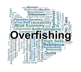 Fototapeta premium Overfishing Word Cloud. A visual overview of marine population depletion, ecosystem impacts, sustainable management strategies, and the technical terminology of global fishery conservation.