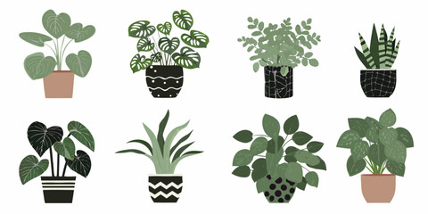 Collection of stylized houseplants in decorative pots isolated on white © Shahabuddin