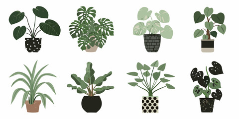 Assorted potted houseplants arranged in a symmetrical grid pattern © Milton