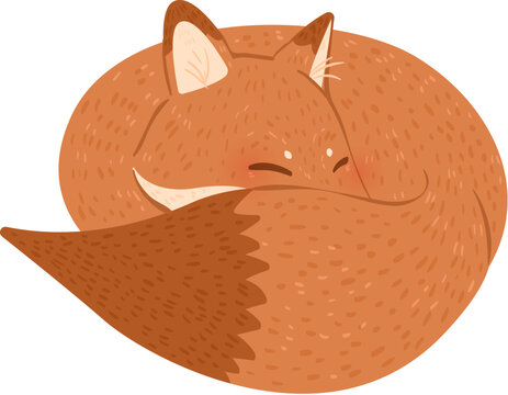 Fox in hibernate