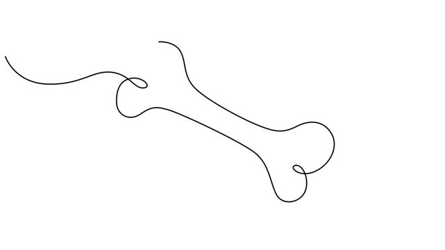 Minimalist dog bone line art, simple black outline, pet icon, white background video