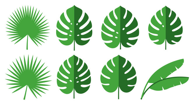 Collection of various green tropical leaves.