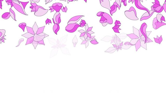 Floral petals falling down top border video overlay. Spring bloom. Animated upper edge frame with cascading elements. Motion graphics with transparent copy space. Decoration seamless animation