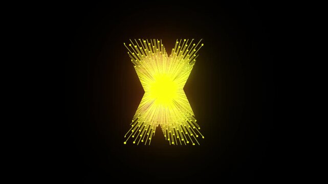 Black background beautiful motion picture logo animation, logo, logo with black background, business logo