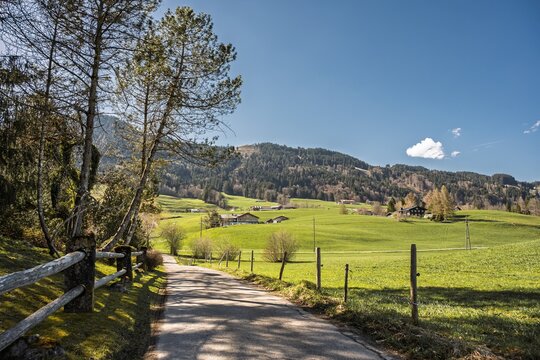 Idyllic Rural Road Through Green Meadows in Allgaeu Near Sonthofen, Traditional Bavarian Countryside Landscape Under Blue Sky, Southern Germany, Europe