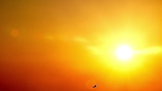 Seagulls soar across the bright orange sky at sunset, their shadows contrasting with the illuminated sunlight, capturing the atmosphere of Bang Pu coastline&mdash;the freedom and natural movement in the w