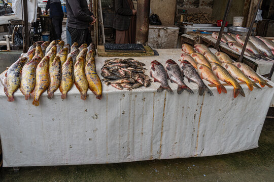 Fish market in old Mosul, Iraq