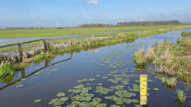 Feuchtwiesen am D&uuml;mmer in Deutschland mit &uuml;berfluteten Wiesen, Kanal mit Seerosen und Wasserstandsanzeiger &ndash; langsamer Schwenk &uuml;ber Landschaft mit Windr&auml;dern
