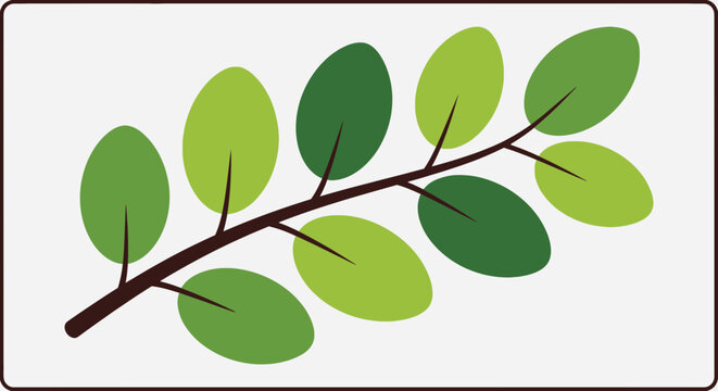 Fresh green moringa leaves on a brown branch showcasing healthy foliage and natural beauty in a simple vector illustration on white