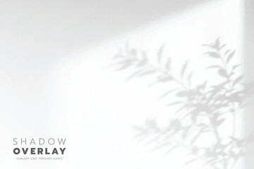 Obraz premium Soft leaf shadows cast on a bright, clean background. The natural sunlight creates an elegant, minimalistic overlay effect, perfect for use in design projects, presentations, social media graphics