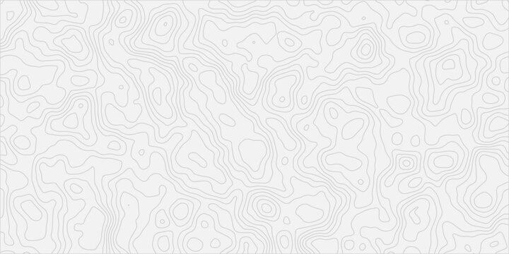 Abstract Mountain Terrain Expressed Through Continuous and Refined Line Work
Soft Elevation Patterns Blending Seamlessly into a Modern Artistic Style
