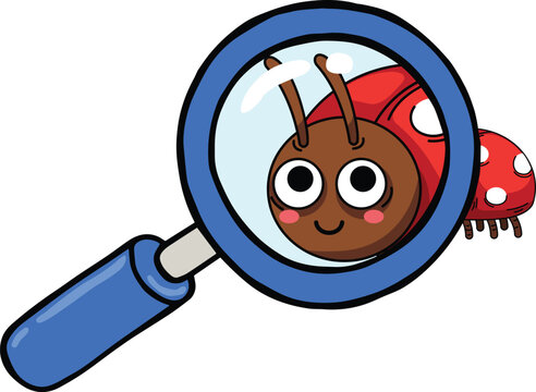 Magnifying Glass Over Ladybug Illustration