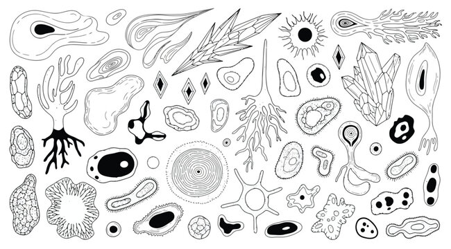 Collection of various biological cells, microorganisms, bacteria, and abstract organic shapes, hand drawn vector set