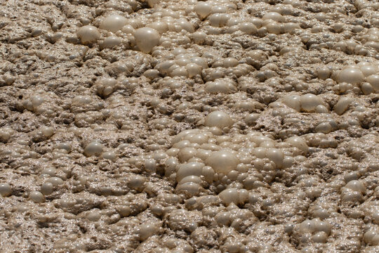 Activated sludge in an aeration tank at a wastewater treatment plant. Oxygen is mechanically introduced into the tank to support aerobic bacteria that break down organic waste particles. 