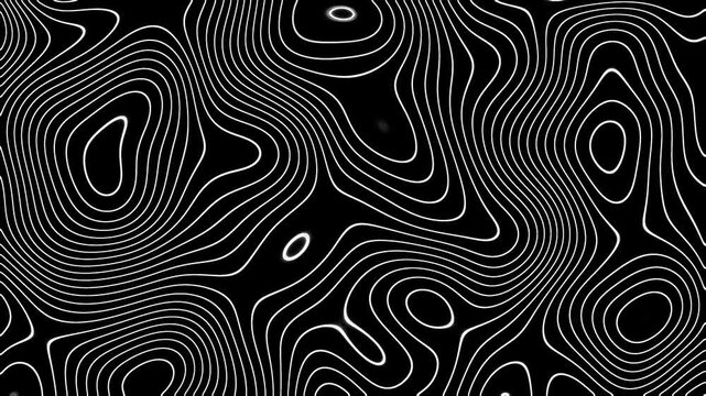 Abstract topographic contour lines flowing on black background, white fluid waves motion graphic.