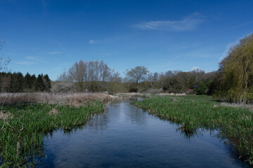 Fototapeta premium The River Chess in Chorleywood