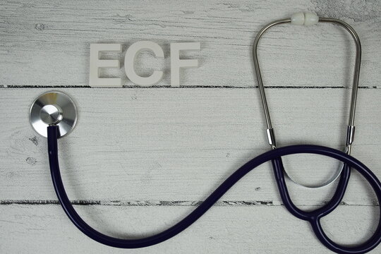 ECF Extracellular Fluid text with Stethoscope on wooden background
