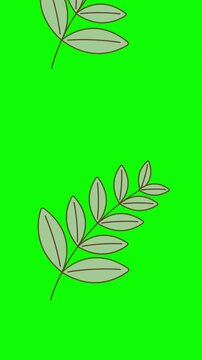 green leaves on a transparent background