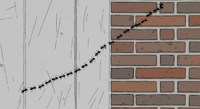 A line of ants marches up a brick wall next to a gray wooden surface