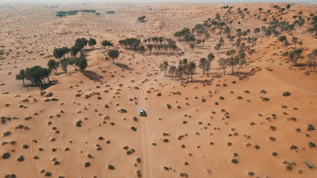 An aerial view of sand dunes in the Arabian Desert, UAE.
