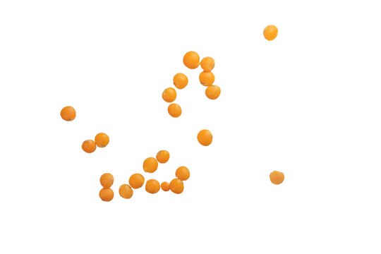 Scattered orange lentils on transparent background, png.