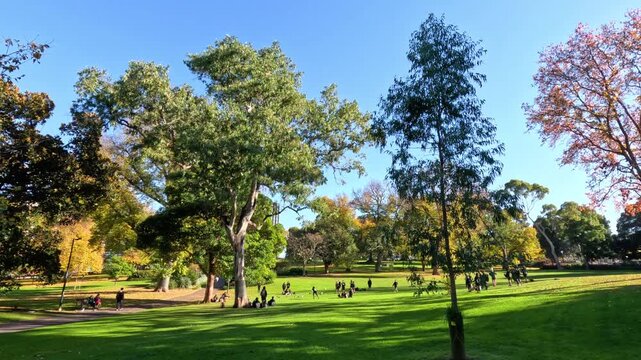 People enjoying sunny day in vibrant park during autumn with colourful trees and green lawn.